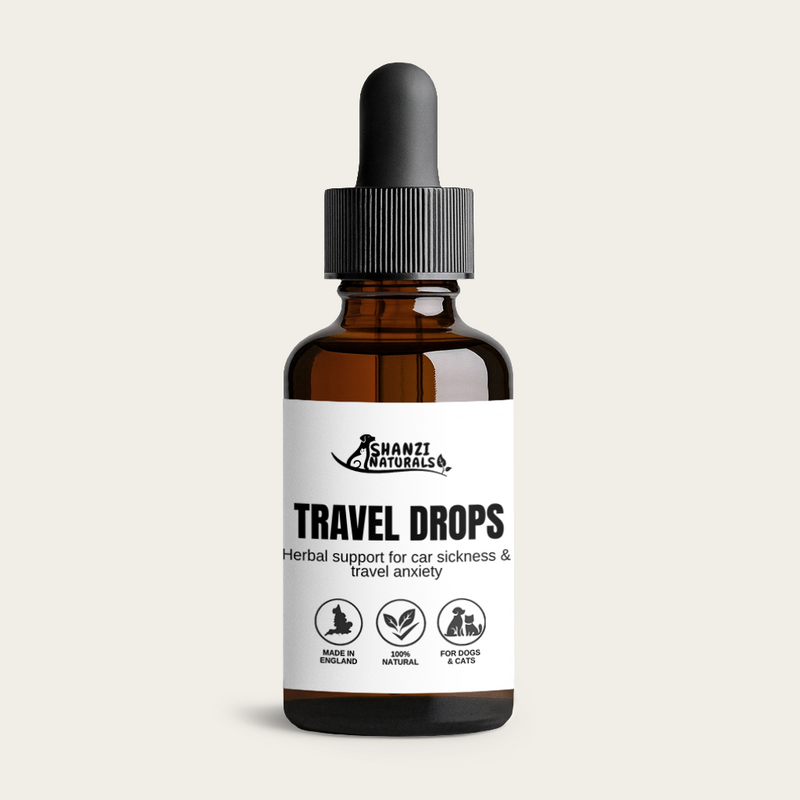 Travel Tonic - Travel Sickness Tincture