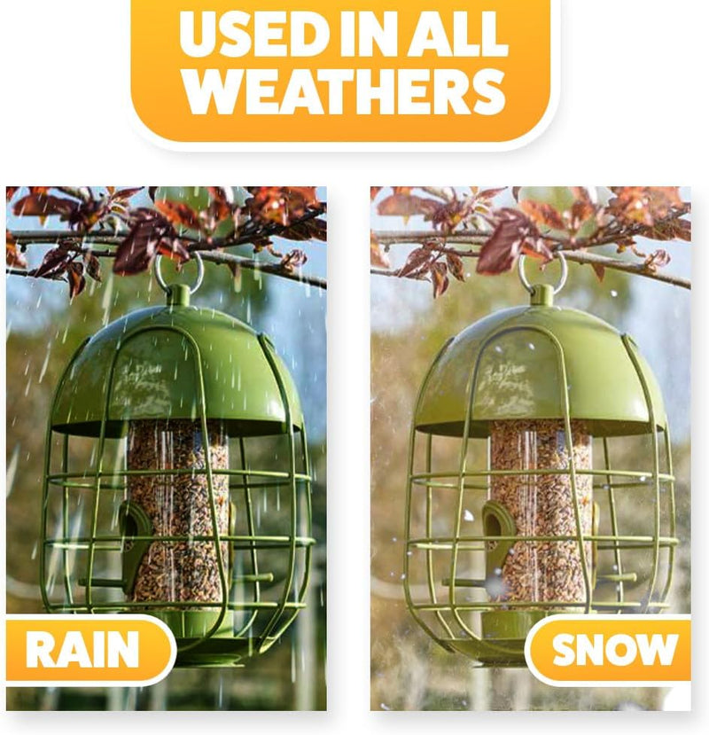Squirrel Proof Caged Bird Seed Feeder