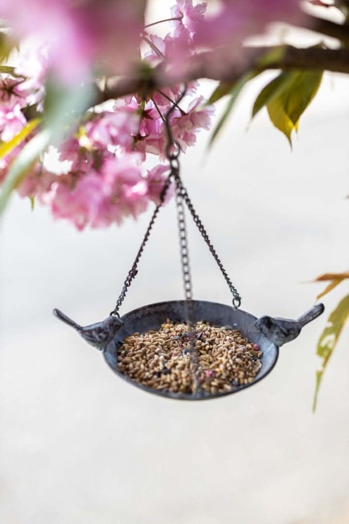 Hanging Metal Bird Bath and Feeding Station