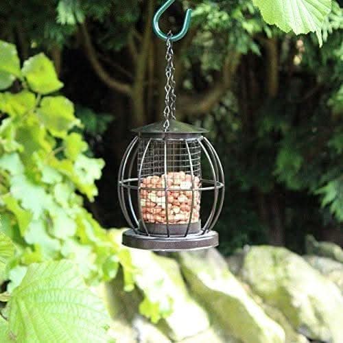 Mini Caged Nut Bird Feeder with Squirrel Guard 13.5cm
