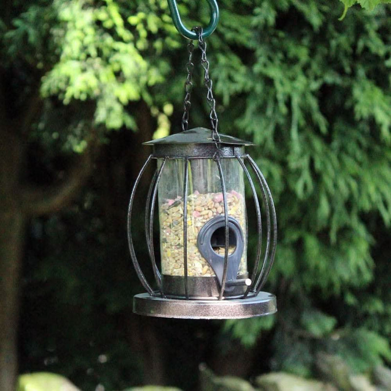 Mini Lantern Bird Seed Feeder with Squirrel Deterrent Cage 13.5cm