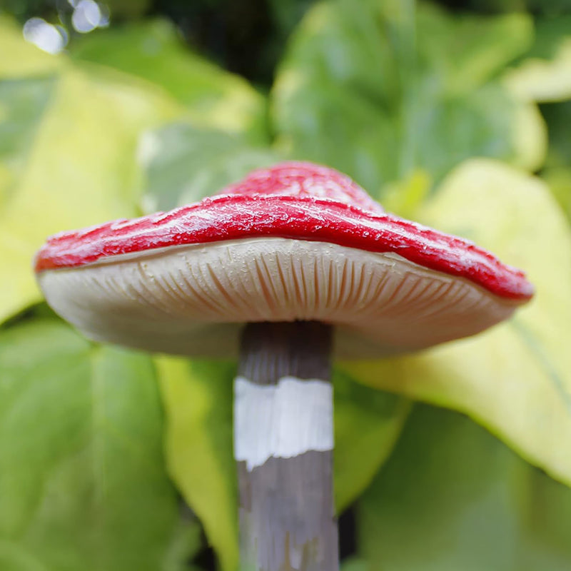 4pc Red Toadstool Miniature Garden Ornaments Resin Mushroom Set