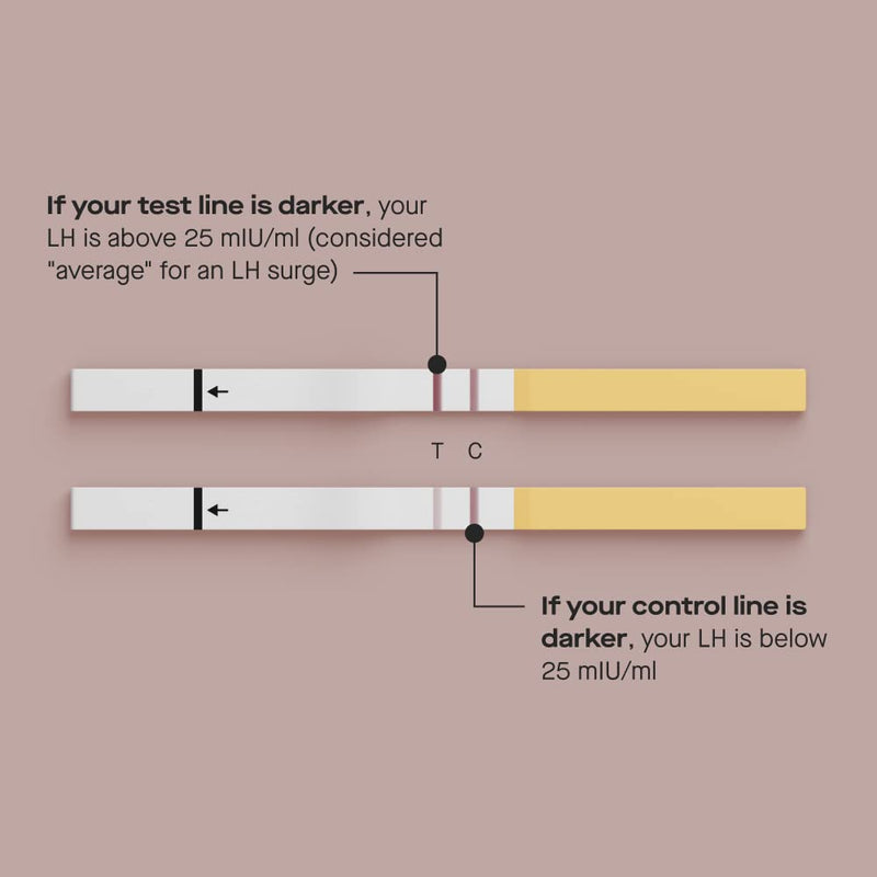 Modern Fertility Ovulation Test - At-Home LH Tracking (20 Strips)