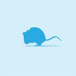 Monkfield Mouse - Crawler - 25 pack