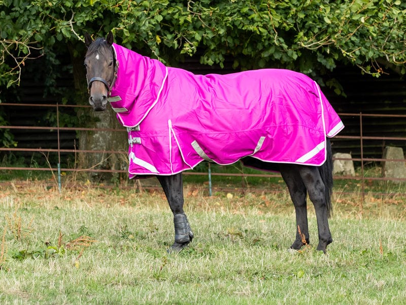 200G Detachable Neck Turnout Rug - Mulberry