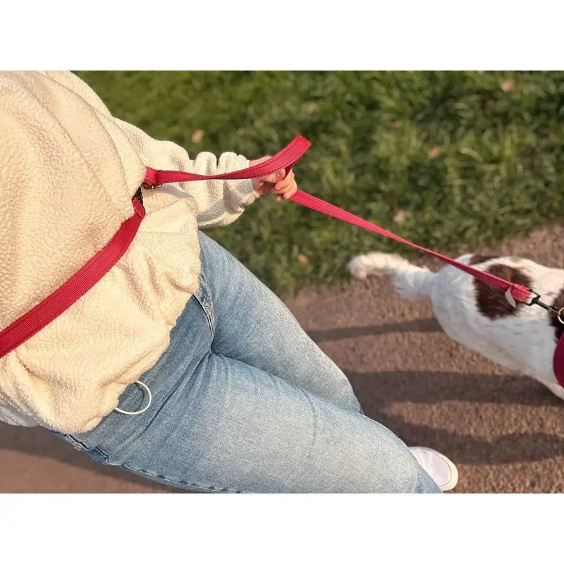 Multi-Way Hands-Free Waterproof Dog Lead
