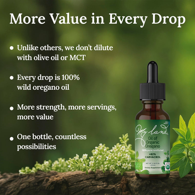 MY LAND Organic Oregano Oil Drops 10ml – Pure, Undiluted, High Carvacrol | Mt. Olympus Steam-Distilled | Immune & Digestive Support