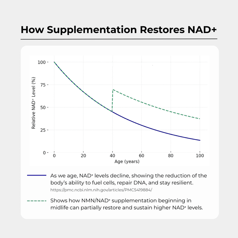 NAD+ 500mg