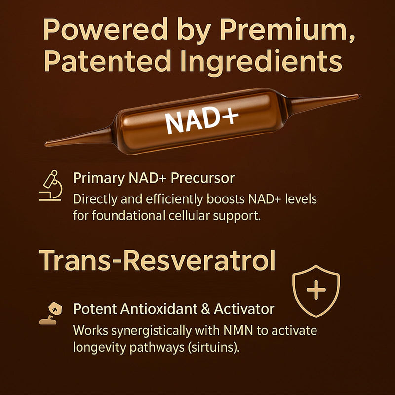ARSYCHLL NAD Advanced Cellular Renewal - 1200mg NAD Supplement for Skin Aging Support, Energy & Focus - 10 Vials