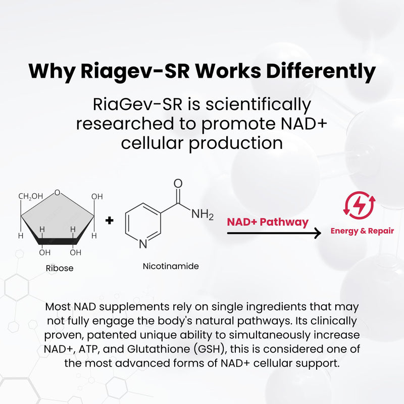 NAD PLUS Revive | Daily NAD+ Replenishment Tablet – 90 Tablets | Vegan, Non-GMO, Gluten-Free | Powered by RiaGev-SR