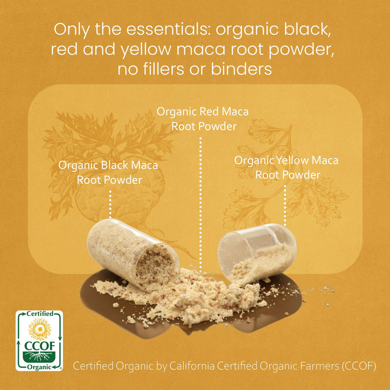 NaturaLife Labs Organic Maca Root – Black, Red & Yellow | 1900 mg per Serving | 150 Capsules | Vegan
