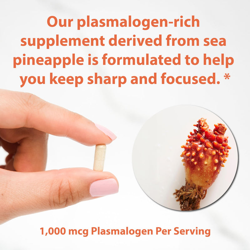 Sun Neuro Nootropic Brain Supplement | Plasmalogen Boost from Sea Pineapples | 180 Caps