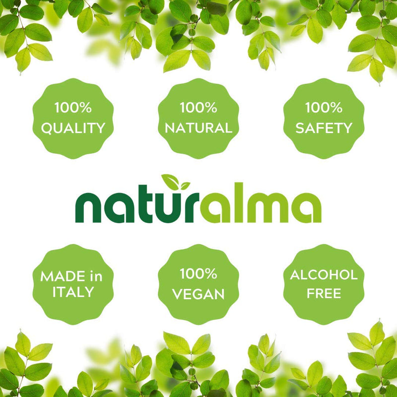 Naturalma Moringa Leaf Tincture – Alcohol-Free, 4 oz | Vegan Herbal Extract