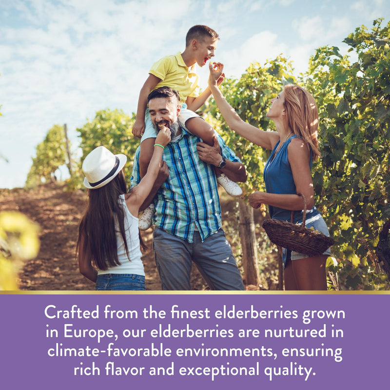 Nature's Truth Elderberry Immune Complex – 60 Chewables