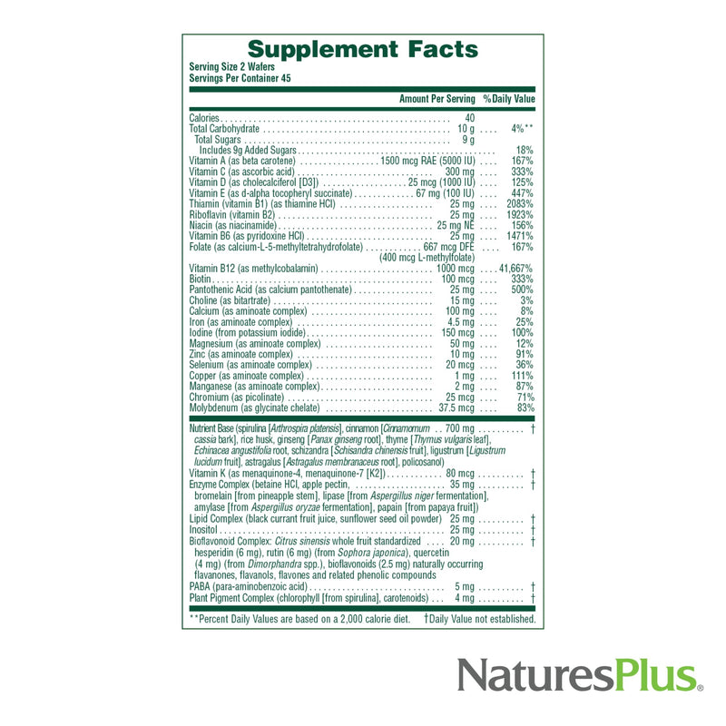 Source of Life Adult Multivitamin Chewables – Apple Cinnamon, 90 Wafers | Natures Plus