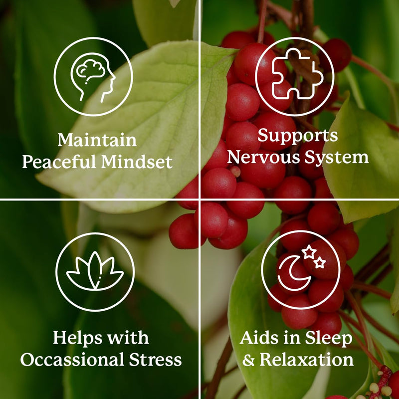 Nature's Sunshine Nutri-Calm – Herbal Stress Relief & Mood Support Supplement (100 Count)