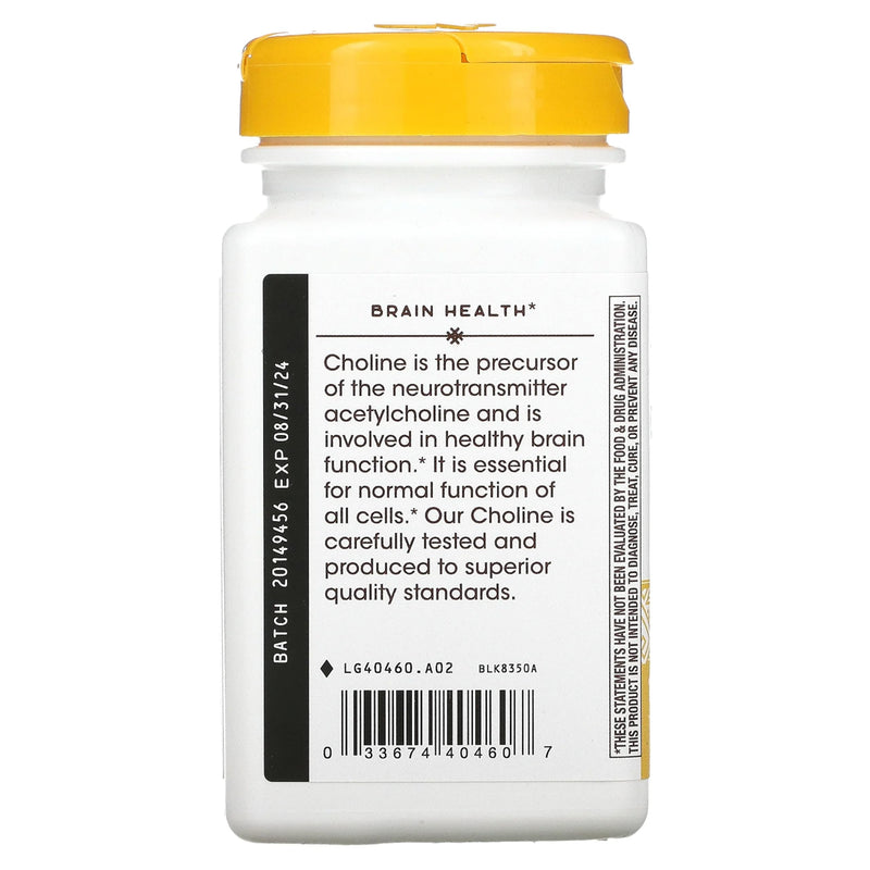 Nature’s Way 500 mg Choline – 100 Count | Brain Support Supplement