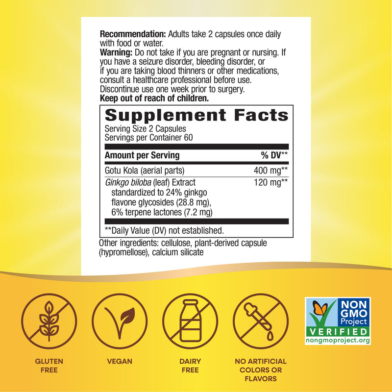 Nature's Way Ginkgo Premium Extract – Memory & Concentration, 120 Capsules