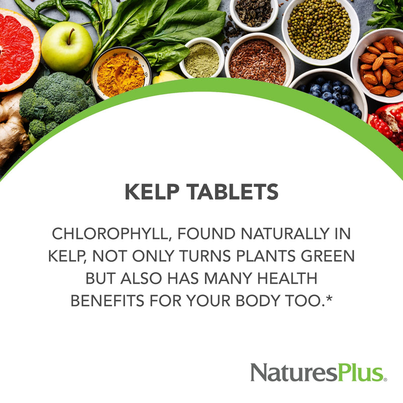 NaturesPlus Icelandic Kelp - 150 mcg Iodine, 150 mg Kelp | 300 Tablets