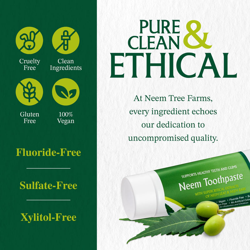 Neem Fluoride Free Toothpaste – Vegan, Gluten-Free | Clove & Stevia (Single Pack)