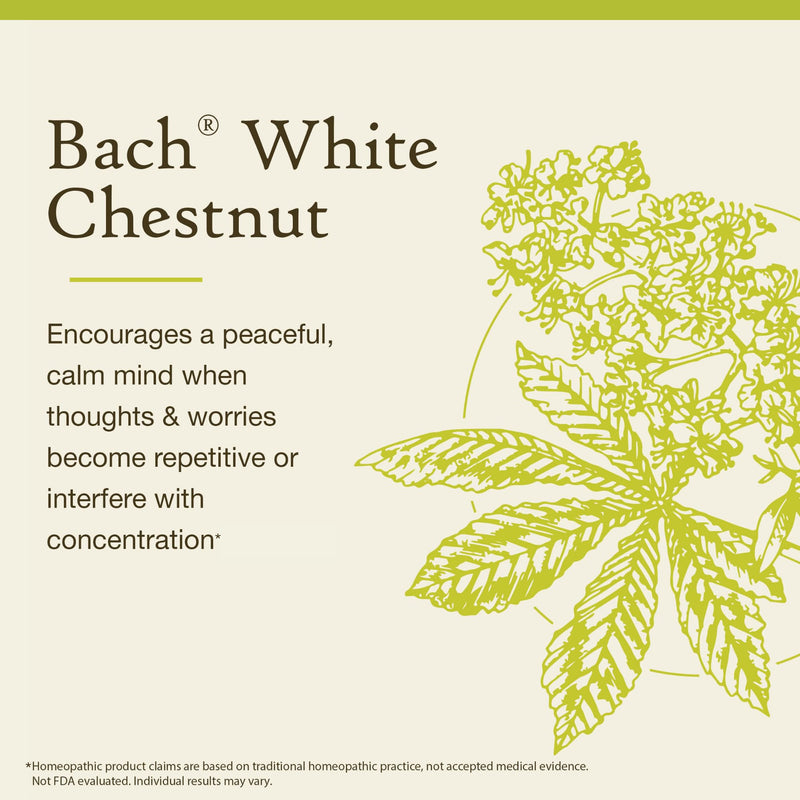 Nelson Bach White Chestnut – Calm The Mind Flower Remedy 0.7 oz (20 ml)