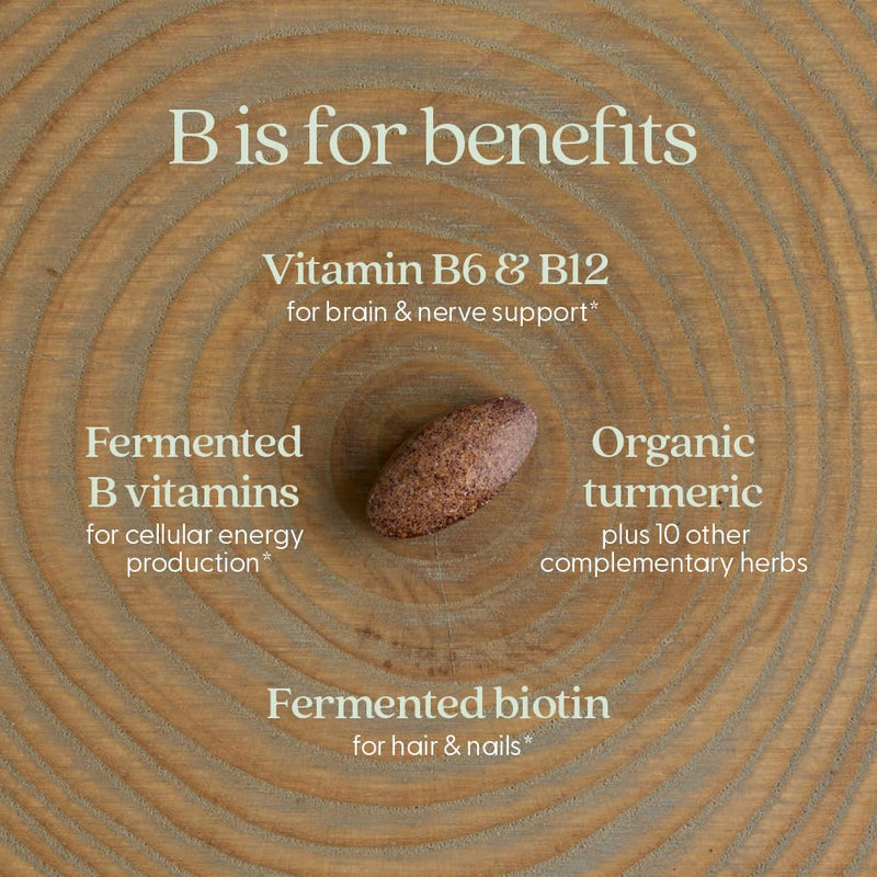New Chapter Vitamin B Complex – Fermented Coenzyme B, Organic 90 ct
