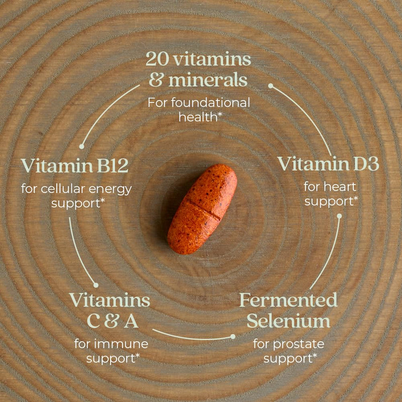 New Chapter Men's Multivitamin 55+ — One Daily, Fermented, Non-GMO, Immune & Brain Health, 96 Tablets