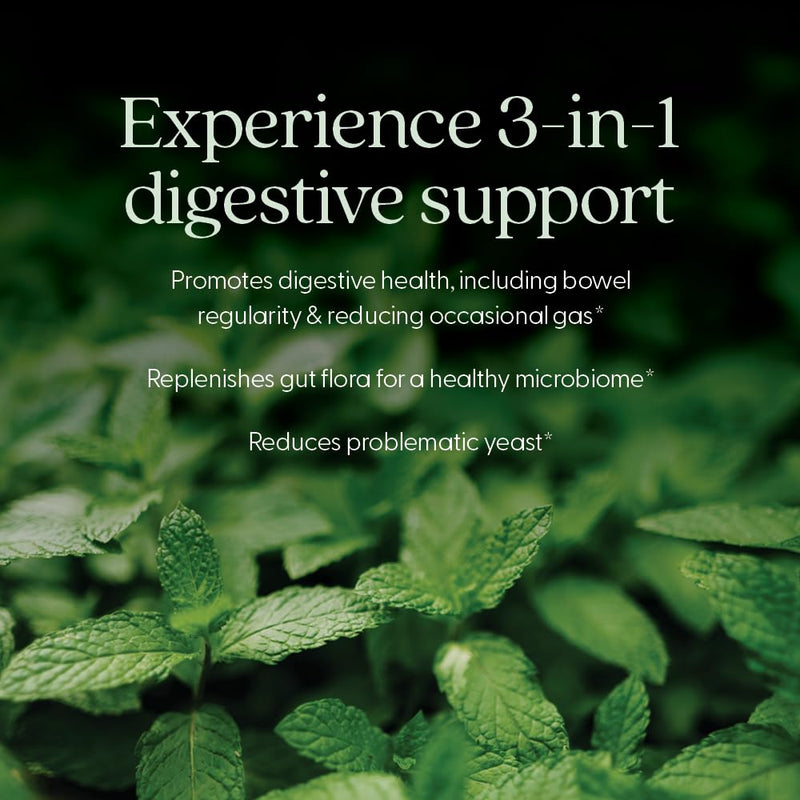 New Chapter Probiotic All-Flora 30 Ct – Advanced Digestion & Gut Health, Vegan, Non-GMO
