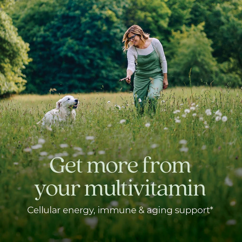 New Chapter Women's Multivitamin 40+ | One Daily, Fermented Vitamins, Gentle on Empty Stomach