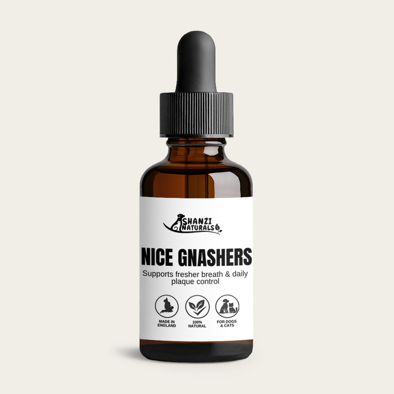 Nice Gnashers – Oral Hygiene & Fresh Breath Formula