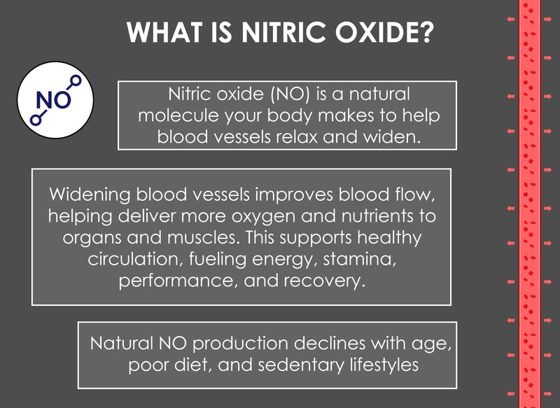 Nitric Oxide Lozenges 120 Count – Supports Blood Pressure, Circulation & Vascular Health