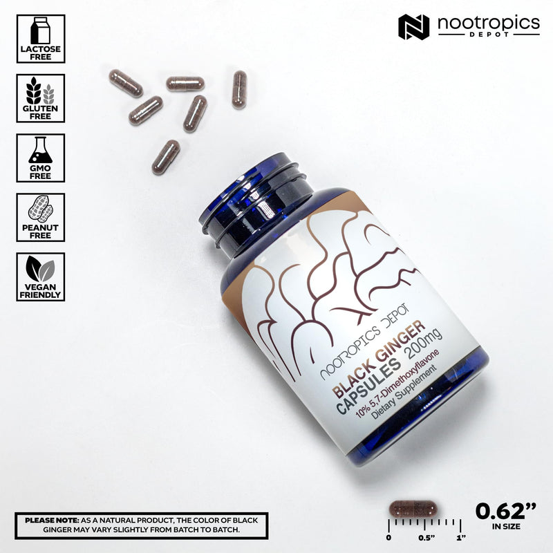 Black Ginger Extract Capsules – 10% 5,7-Dimethoxyflavone | Nootropics Depot | 60 Count