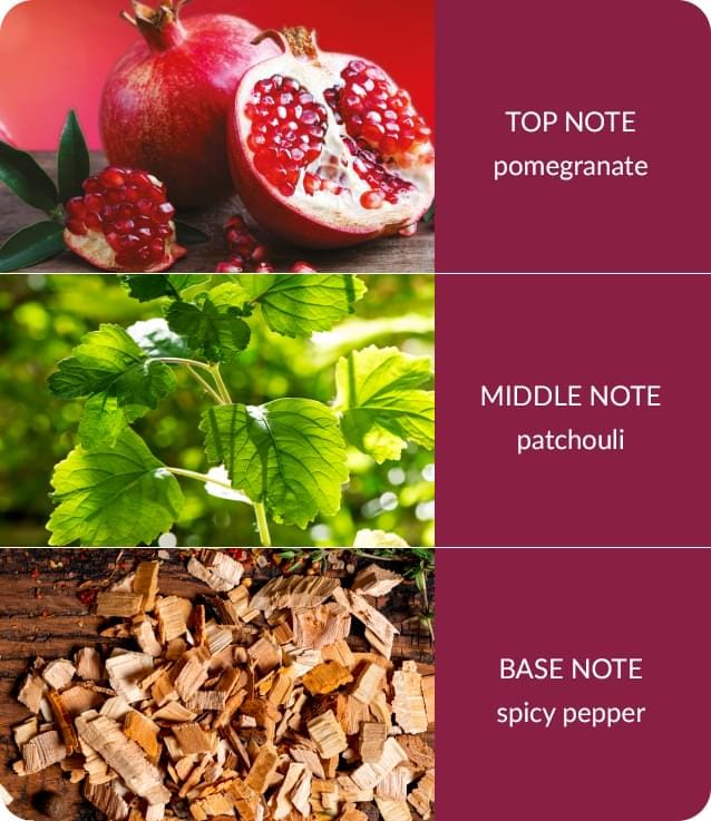 Soy Wax Melt - Pomegranate & Pepperwood - Up To 12 Hours Use With Wax Warmer