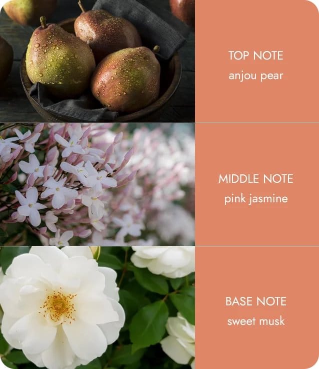 Heart & Home Angel Touch Twin Wick Ellipse Soy Candle - 40 Hours Burn