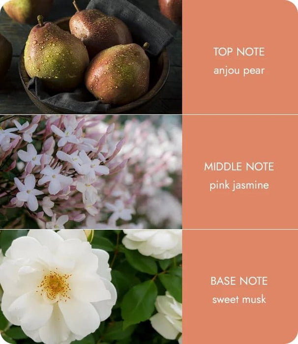 Soy Wax Melt - Angel Touch - Up To 12 Hours Burn Use With Wax Warmer