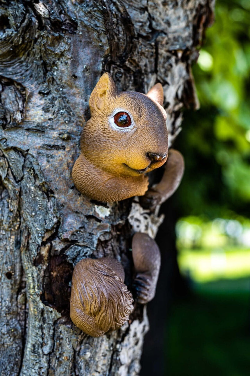 Resin Tree Hugging Squirrel Peeking Garden Ornament