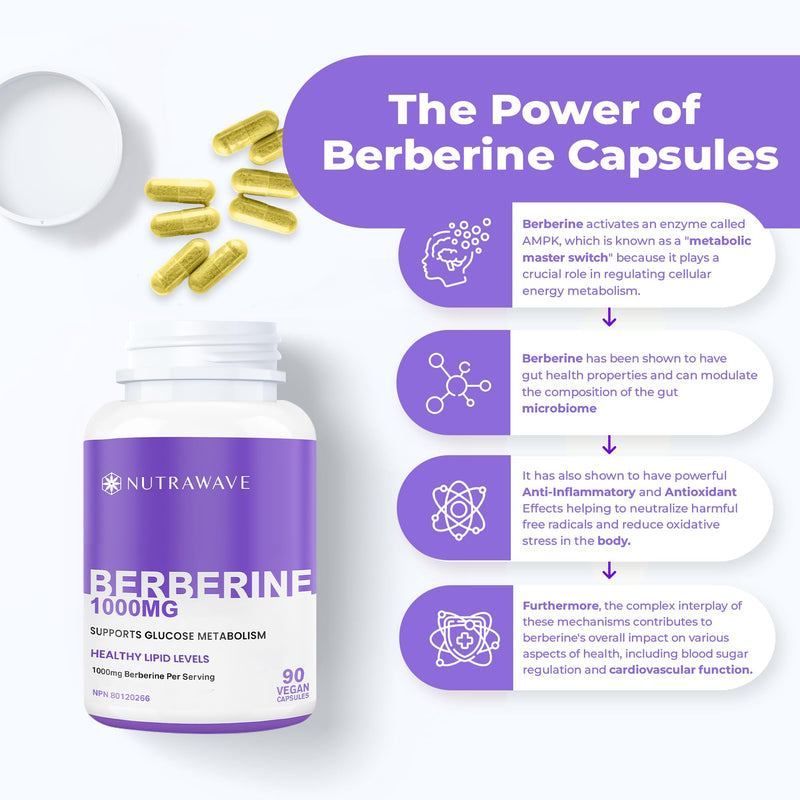 Nutra Wave Pure Berberine Maximum Potency 1000mg per Serving - 2-Pack (Vegan, Non-GMO)