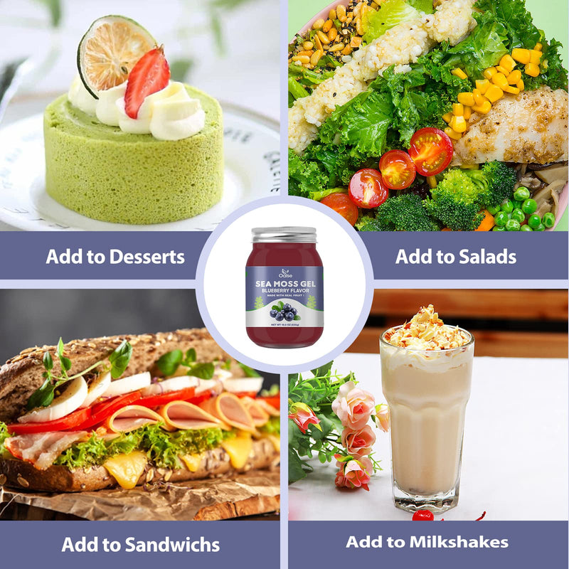 OALSE Sea Moss Gel - 18.5oz Blueberry Flavor | Raw Sea Moss Gel with Minerals, Proteins & Vitamins - Vegan-Friendly