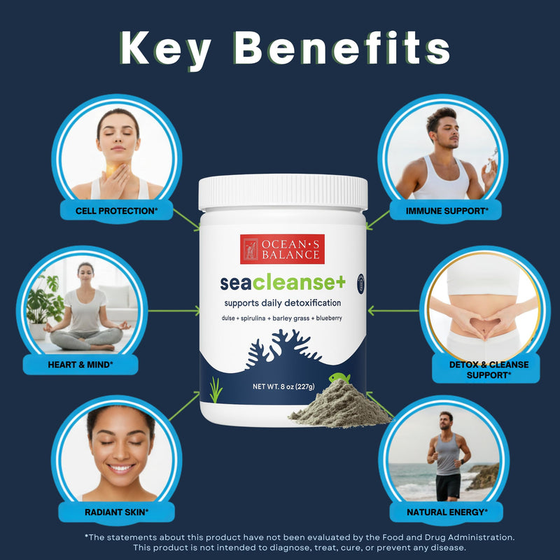Ocean's Balance Seacleanse+ Daily Detox Powder – Gut Health & Immune Support | 8oz