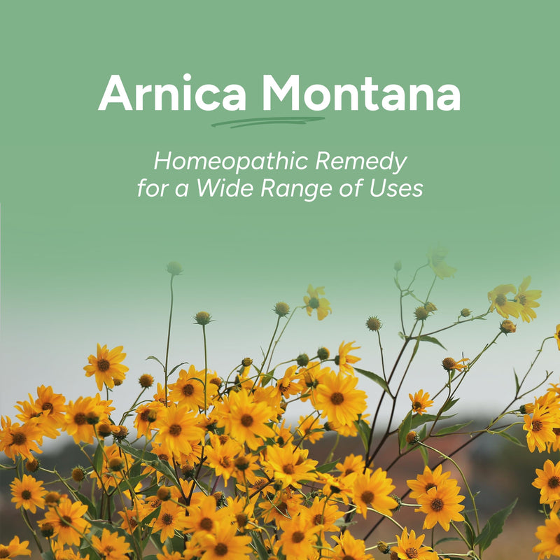 OLLOIS Arnica Montana 30C | Organic, Lactose-Free, Kosher Homeopathic Medicine - 80 Pellets (Pack of 3)