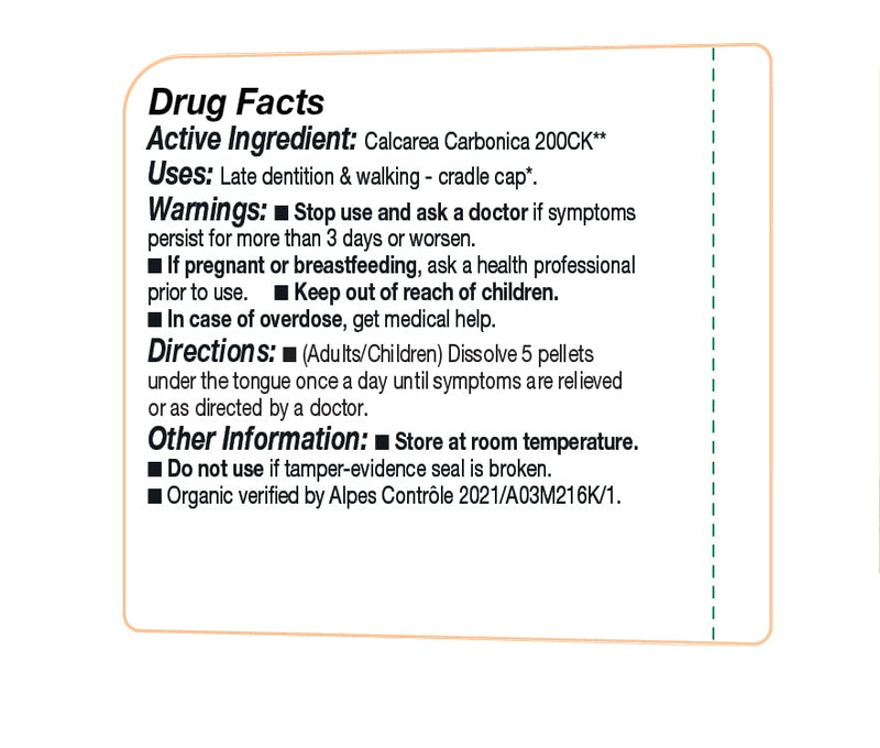 OLLOIS Calcarea Carbonica 200ck – Organic & Lactose-Free Homeopathic Medicine, 80 Pellets (Pack 1)