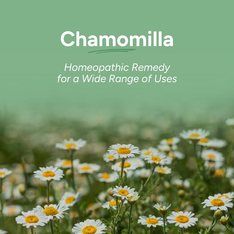 OLLOIS Chamomilla 30c Organic Lactose-Free Homeopathic Medicine – 80 Pellets