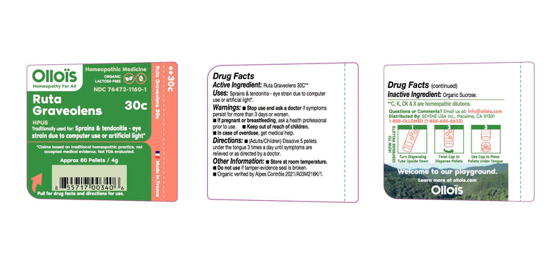 OLLOIS Ruta Graveolens 30c – Organic, Lactose-Free Homeopathic Medicine (80 Pellets, Pack of 1)