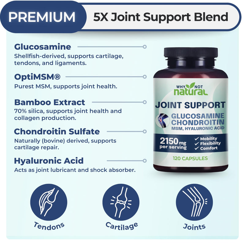 Why Not Natural Glucosamine Chondroitin, MSM, Joint Support Supplements | Knee Pain & Joint Health