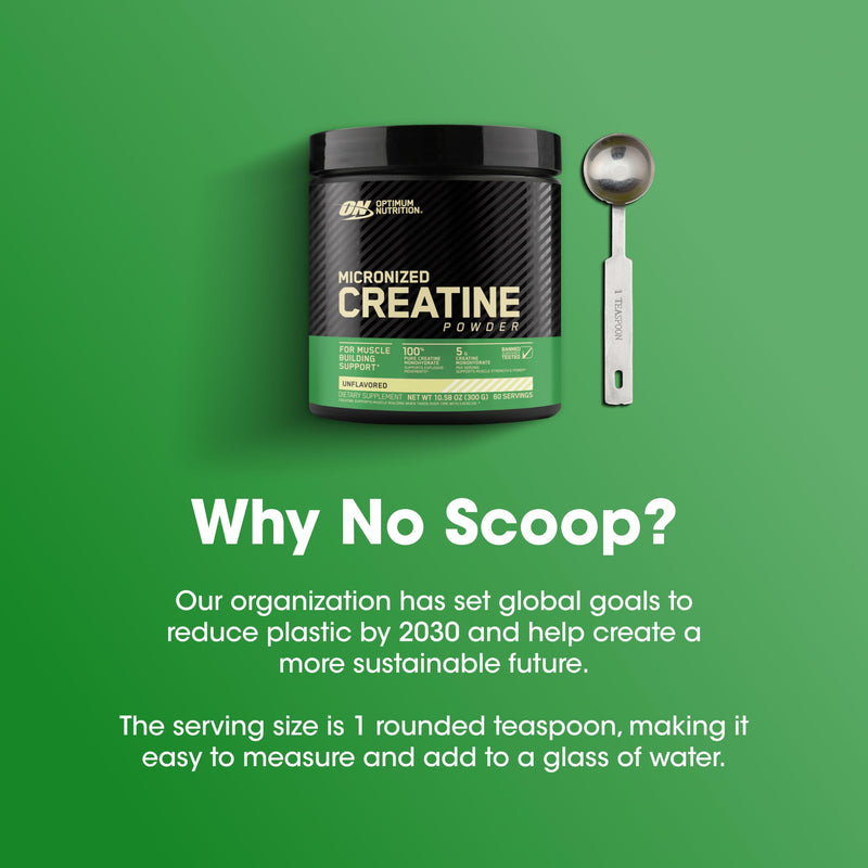Optimum Nutrition Micronized Creatine Monohydrate Powder – Unflavored, 60 Servings, 300 g | Packaging May Vary