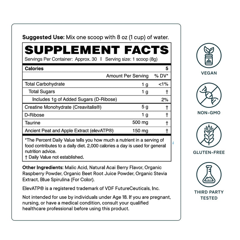 Ora Organic Creatine Monohydrate Powder – Acai Berry, 30 Servings | German-Sourced Creavitalis, elevATP, D-Ribose & Taurine
