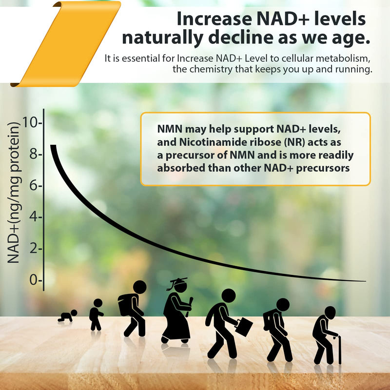 Orgabay Liposomal Nicotinamide Riboside 2000 MG | NAD+ Support