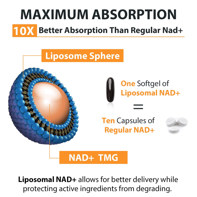 Orgabay Liposomal NAD+ Supplement 500 mg + 250 mg TMG – High Absorption NAD+ | 480 Softgels
