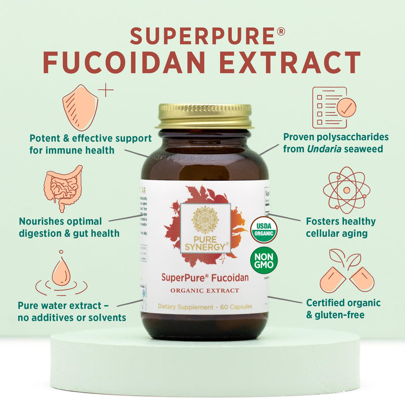 PURE SYNERGY SuperPure Fucoidan Extract | Organic Brown Seaweed | Immune Support, Digestion & Healthy Aging (60 Capsules)