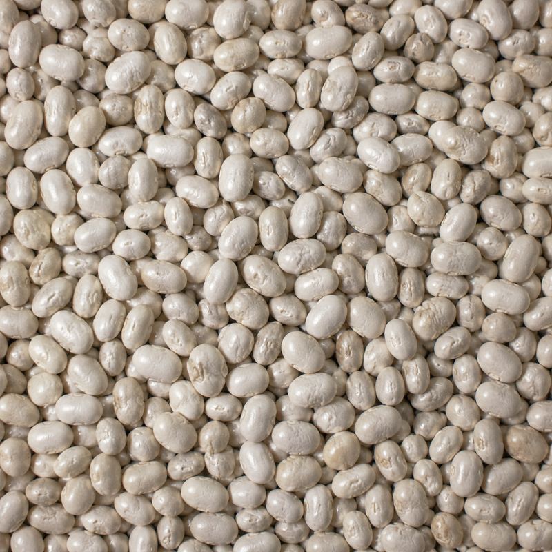 Organic Haricot Beans